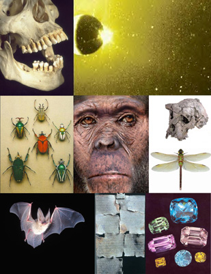 NÉVRAUMONT PUBLISHING COMPANY